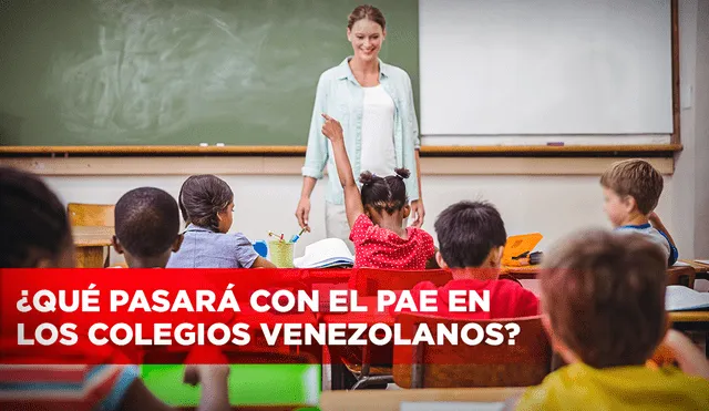 El PAE se creó en 1996 en Venezuela durante el gobierno de Rafael Caldera. Composición: Jazmin Ceras-GLR/Freepik