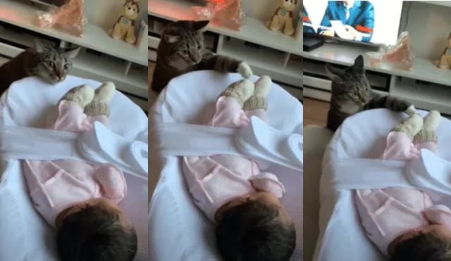 Desliza las imágenes para ver la adorable escena entre la bebé y el gato de su mamá.