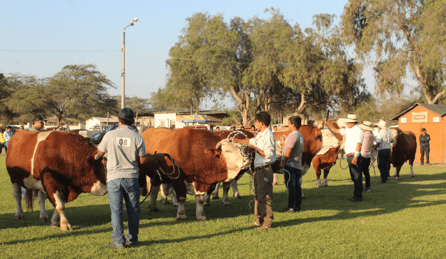 El evento contará con la participación de animales procedentes de diversas regiones del país.