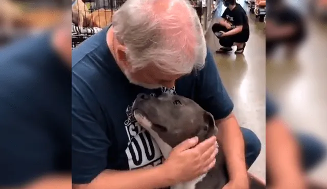 En Facebook, un señor acudió a un albergue de animales para adoptar a un perro y no imaginó la reacción que tendría.