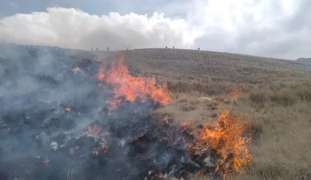 Extensiones de pastizales se quemaron por incendio forestal en Puno. Foto: Cortesía