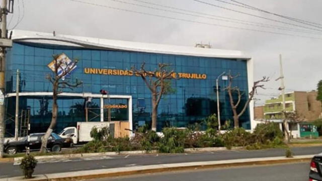 Trujillo: sancionan a universidad por podar árboles 