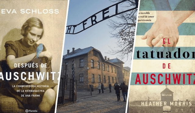 Estos son algunos de los libros que hablan de lo ocurrido dentro del campo de concentración de Auschwitz.
