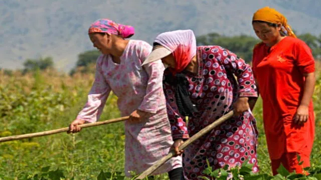 Mujeres rurales