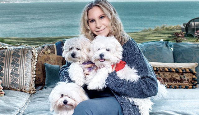 Barbra Streisand tiene a dos clones como mascotas