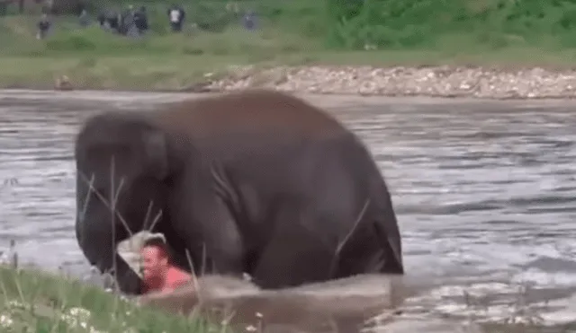 YouTube viral: Elefante se convierte en héroe al socorrer a joven que se ahogaba en profundo río [VIDEO]