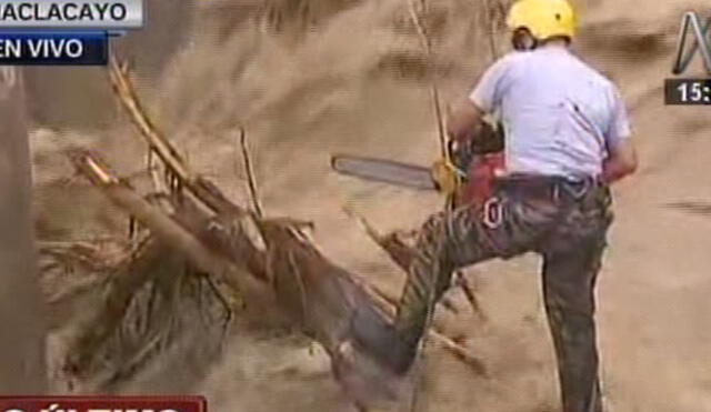 Chosica: Rescatista arriesgó su vida para cortar tronco que dañaba bases de puente | VIDEO