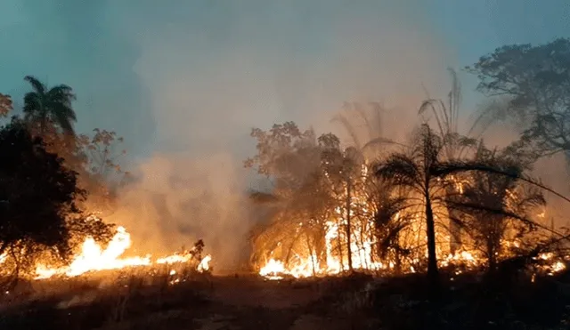 Incendio forestal en Bolivia: el fuego consume medio millón de hectáreas en Santa Cruz