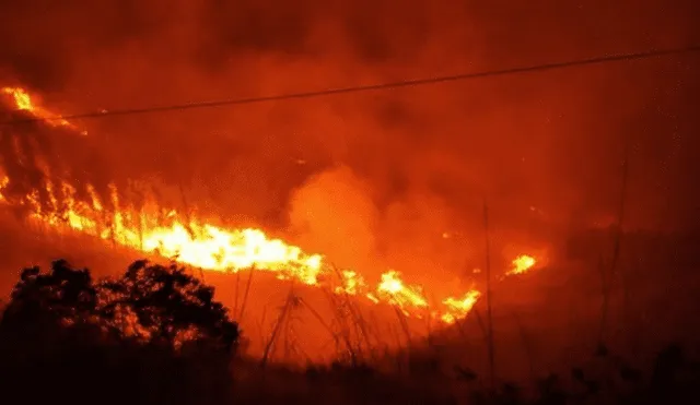 Condiciones meteorológicas favorecerían ocurrencia de incendios forestales, advierte Senamhi. Foto: Twitter COENPerú