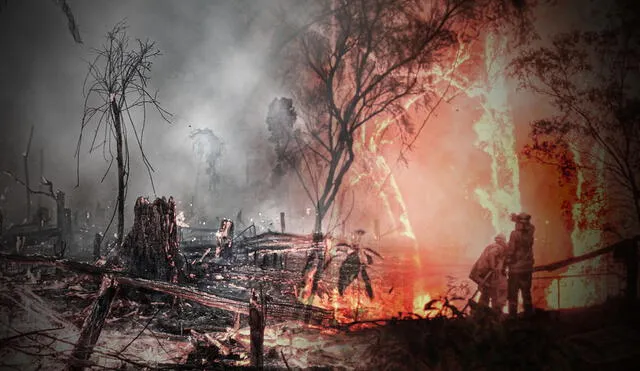 Incendios forestales en Australia y Amazonía fueron provocados en gran parte por culpa de la actividad humana, afirman expertos. Foto: Composición