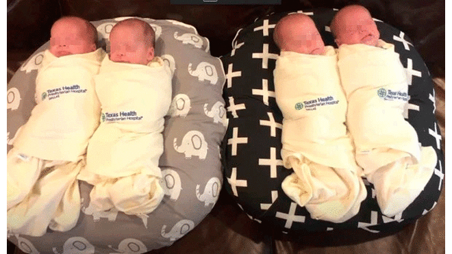 Harrison, Henry, Hudson y Hardy nacieron el 15 de marzo. Fuente: CBS.