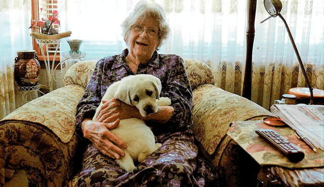 Sheila falleció a los 87 años y dejó 9 millones de dólares a distintas organizaciones benéficas, entre ellas las que se dedican a la protección de animales. (Foto: New Castle Herald)