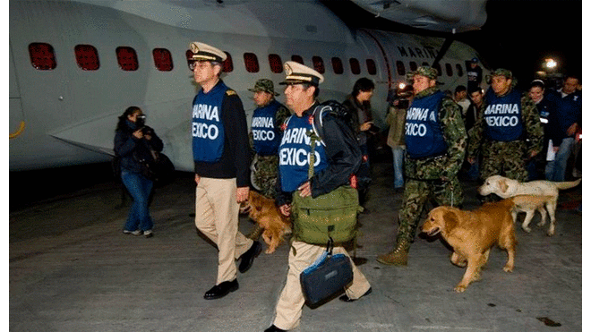 México: perros de rescate