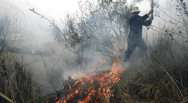 Cuatro incendios dejan más de 3 mil hectáreas de vegetación en cenizas en Cusco