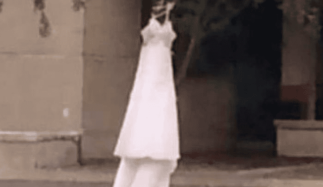 Twitter: Furiosa mujer expone su vestido de novia en árbol y peculiar mensaje impresiona a miles [FOTOS]