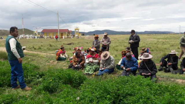 Se sembraron más de 11.234 hectáreas de pastos para ganaderos en Puno