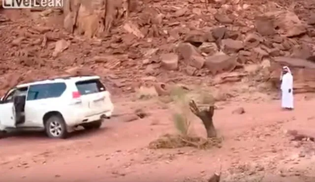 YouTube: Quiso derribar un árbol con su camioneta pero la naturaleza “tomó venganza”