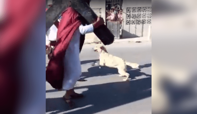 Facebook viral: perro 'creyente' ataca a 'soldados romanos' que azotaban a 'Jesús' [VIDEO]