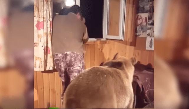 Video es viral en YouTube. El hombre estaba distraído mirando por la ventana de su cabaña, cuando el animal se acercó sigilosamente por detrás para hacer algo que ha sorprendido a todos