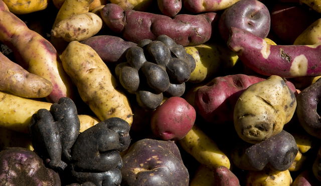 El Perú tiene una gran
despensa en alimentos
saludables y variados.