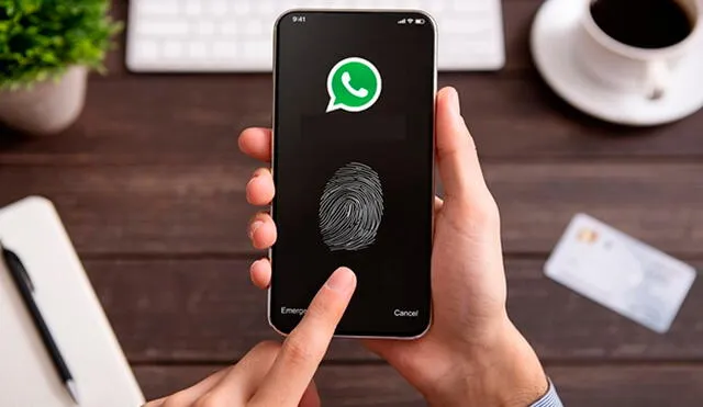 Conoce lo sencillo que es hacer tu cuenta de WhatsApp más privada en tu teléfono Android o iPhone. Foto: OCU