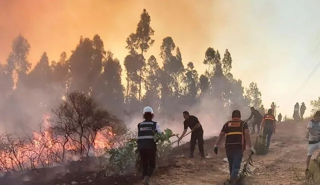 Incendios forestales en Cajamarca.