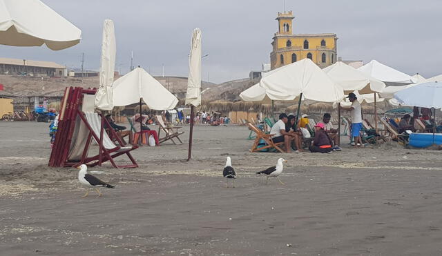 Gripe aviar cierre de playas se discutirá el lunes 5 de diciembre. Foto: Wilder Pari/URPI-LR