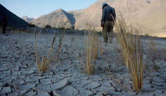 Advierten cinco años de sequía en el sur del Perú 