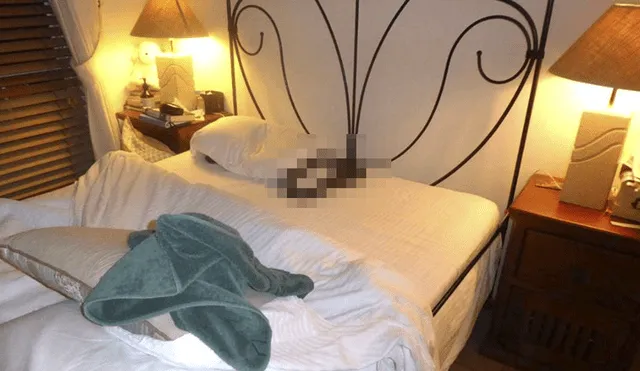 En Facebook, horror por animal que encontró mujer en su cama [FOTO]