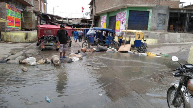 Piura: colapsa desagüe en Bellavista perjudicando a vendedores de pescado