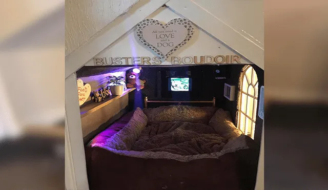 Facebook viral: joven quiso engreír a su perro y construye lujosa casa que sorprende a todos [FOTOS]