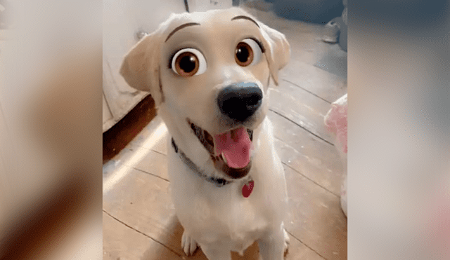 El filtro para perros llegó en la última actualización de Snapchat. Foto: Ladbible.