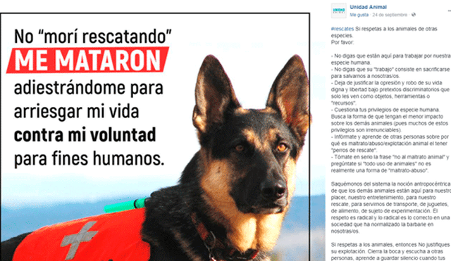 Facebook: Controversia por publicación que acusa de maltrato a rescatistas que usan perros [FOTO]
