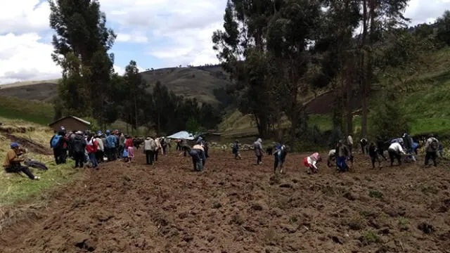 Ayacucho: realizan campaña de siembra en beneficio de ganaderos