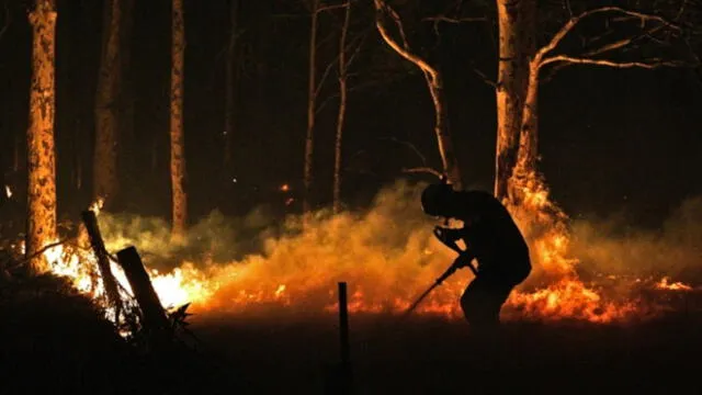 Incendio forestal en Australia: 3000 reservistas se movilizan para combatir desastre