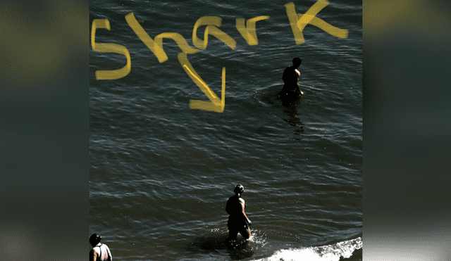 Bañistas quedan aterrados al notar la presencia de un tiburón. Foto: Captura.