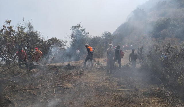 Los cerros El Venado y Las Espinas fueron afectados en su flora y fauna. Foto: GORE