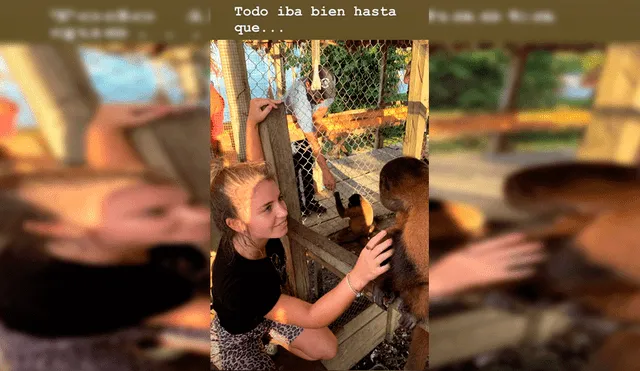Flavia Laos pasa el susto de su vida tras ser atacada por mono [VIDEO]
