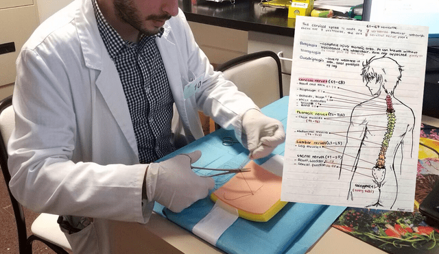 En Facebook, estudiante de medicina, un fanático de anime, arrasa con su tarea sobre anatomía