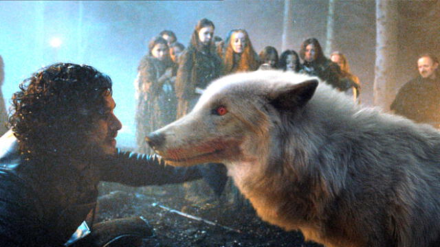 Game of Thrones 8x05: No había presupuesto para que Jon abrace a Ghost