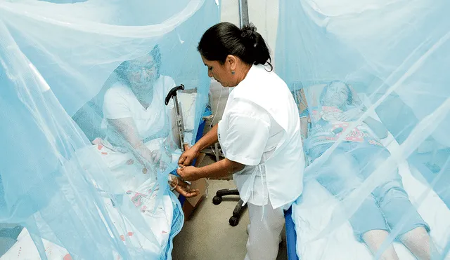 Piura: amplían emergencia sanitaria ante alto riesgo de  epidemia de dengue y zika