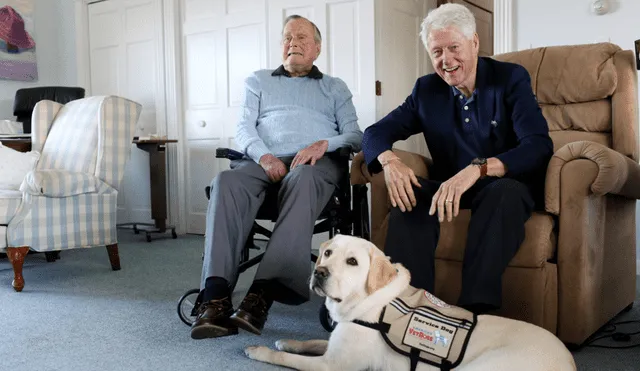 Estados Unidos: la conmovedora foto de Sully, el perro del expresidente George H.W. Bush [FOTOS]