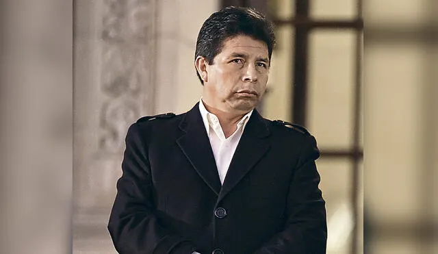 Presidencia. Pedro Castillo podría enfrentar un proceso de inhabilitación. Foto: difusión