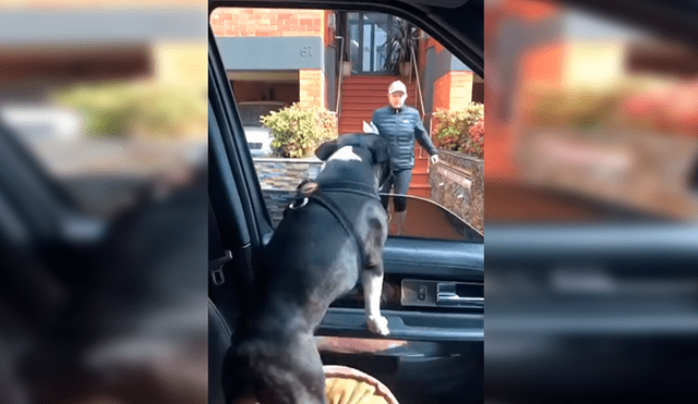 En Facebook, un perro llamó la atención de sus cuidadores por sus singulares movimientos al demostrar su emoción.