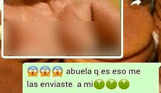 WhatsApp: Abuela envía, por error, fotos íntimas a su nieto [FOTOS] 