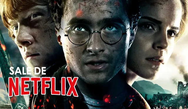 La historia de Harry Potter deja Netflix. Fans lamentan su salida en redes sociales - Foto: Warner Bros