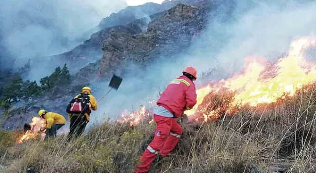 INCONTROLABLE. Los incendios forestales siguen destruyendo bosques y pastizales en Cusco