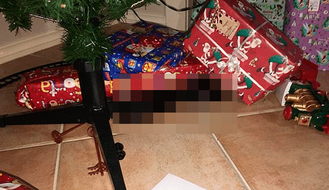 Facebook: Se toparon con algo aterrador al abrir regalos de Navidad