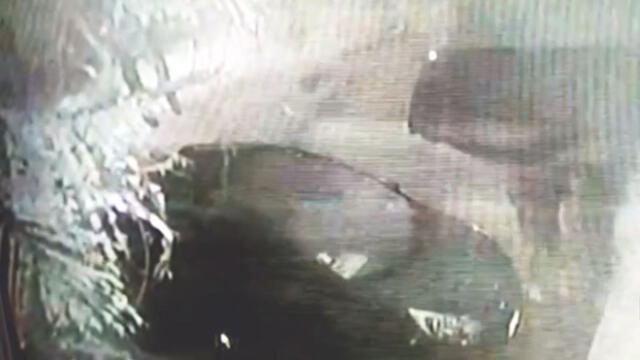 Sujetos golpearon y lanzaron al suelo a hombre, quien minutos antes dejó a su hija para que se vaya al trabajo. (Foto: Captura de video / ATV +)