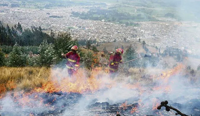 Apurímac: incendio forestal destruyó 800 hectáreas de cobertura natural